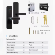 Electronic Combination Lock